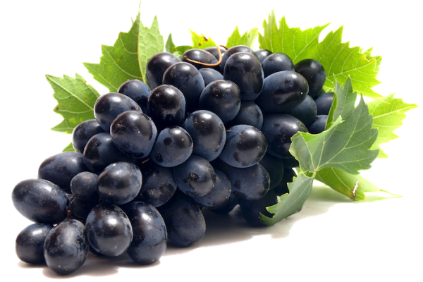 10_02_22_86992f3622e61e Grapes Black Magic