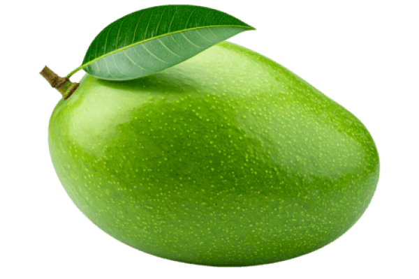 10_02_31_86992f76763d1a Zebdia Mango