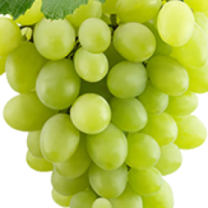 Grapes Thomson