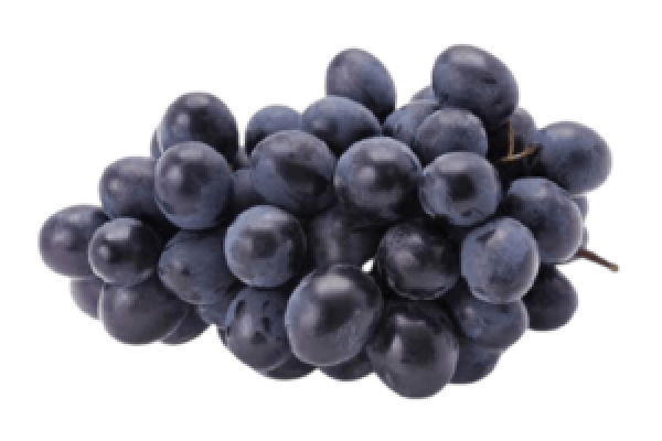 10_02_37_86992f2f911d20 Grapes Autumn Royal
