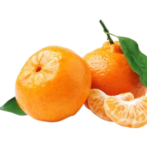 Satsuma