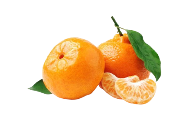 10_02_59_86992ec0784dbd Satsuma