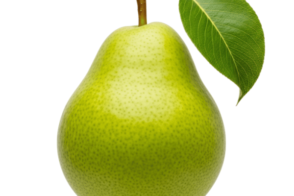 11_02_02_86992fb0ada163 Pear
