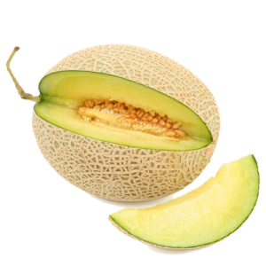 Galia Melon
