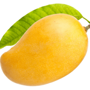 R2E2 Mango