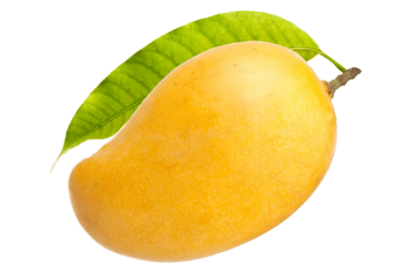 11_02_37_86992f8d50d849 R2E2 Mango