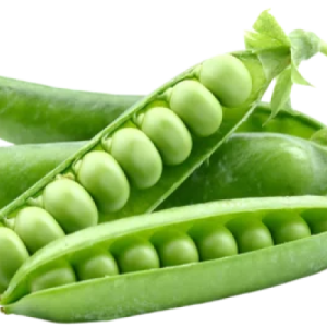 Snow Peas “Mangetout”