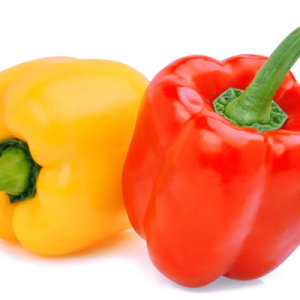 Capsicum