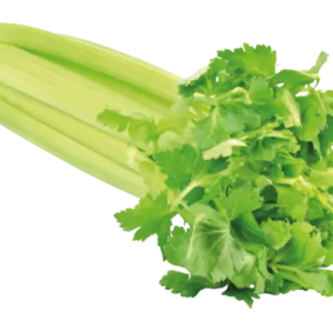 Celery