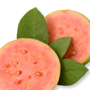 Guava