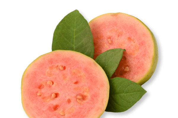 11_02_57_86992fb41938de Guava