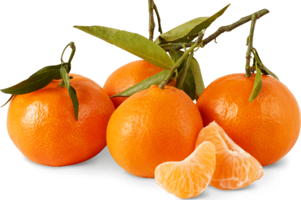 12_02_23_8699309e32a2b2 Clementine