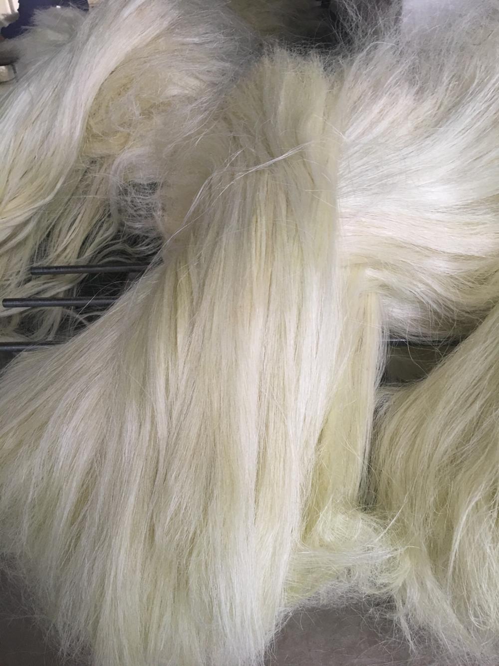 3-1 Sisal Fiber Grade 3L(3 Long) - Image 4