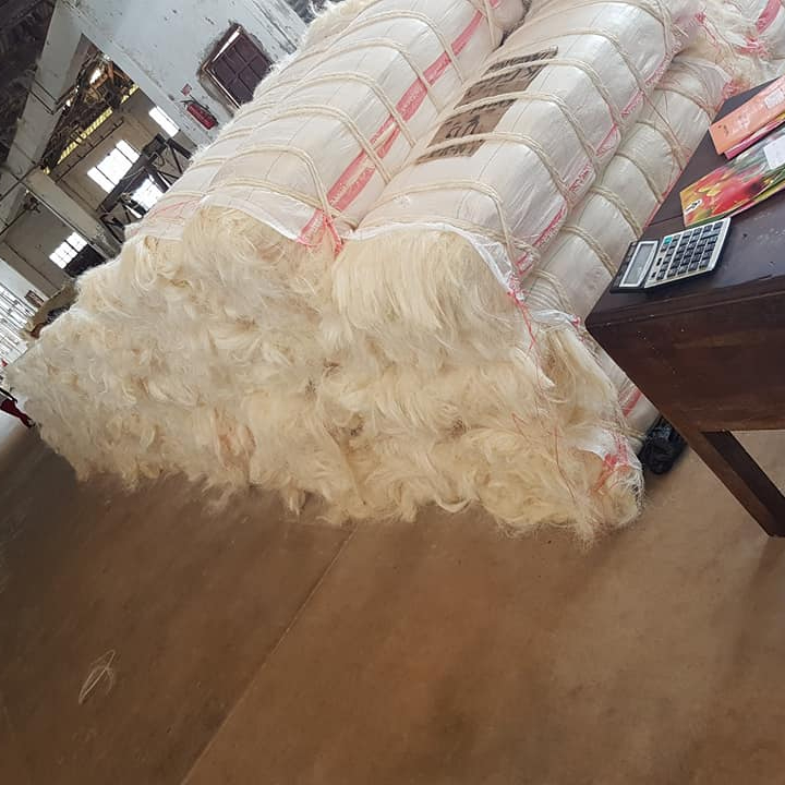7-1 Sisal Fiber Ug Grade