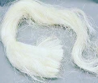 777 Sisal Fiber Ug Grade - Image 3