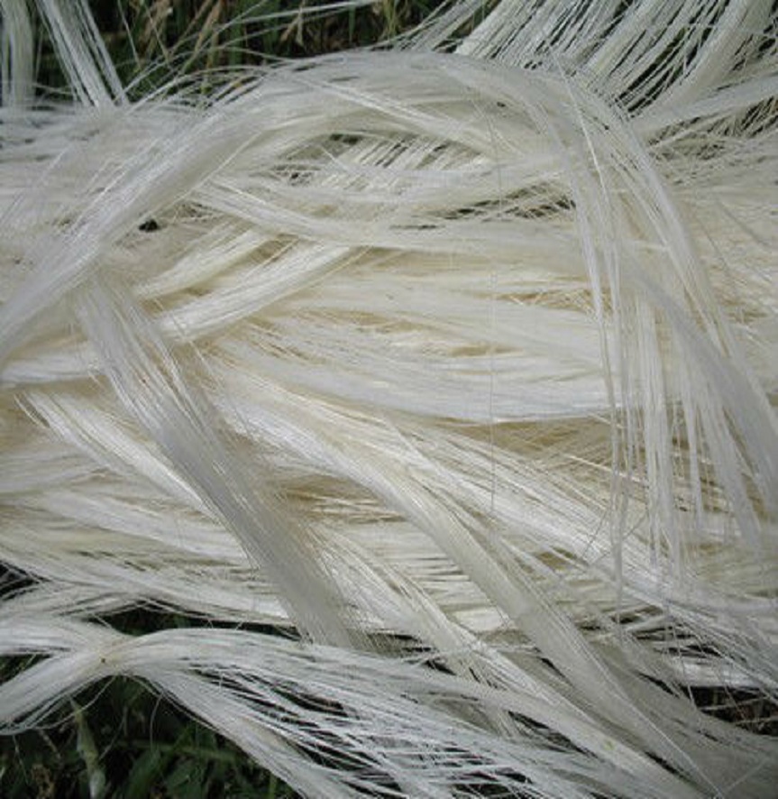 7777 Sisal Fiber Ug Grade - Image 4