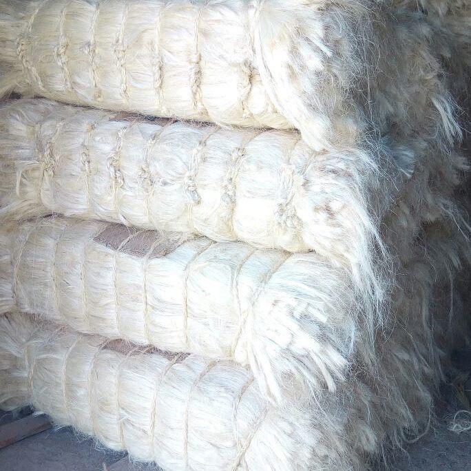 77777 Sisal Fiber Ug Grade - Image 5