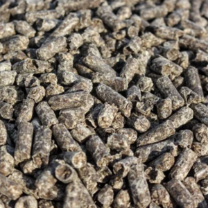 Beet Pulp Pellets