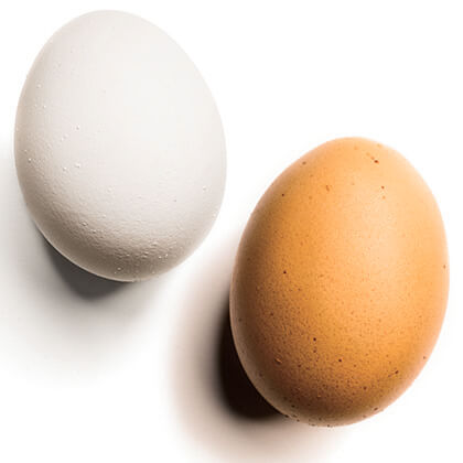 fresh-brown-and-white-eggs-1-1 Fresh White and Brown Eggs