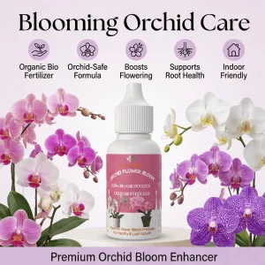 Orchid Fertilizer