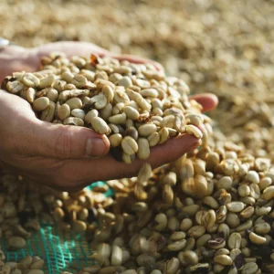 COFFEE BEANS